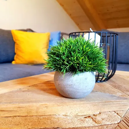 Apartment Gipfelpanorama *